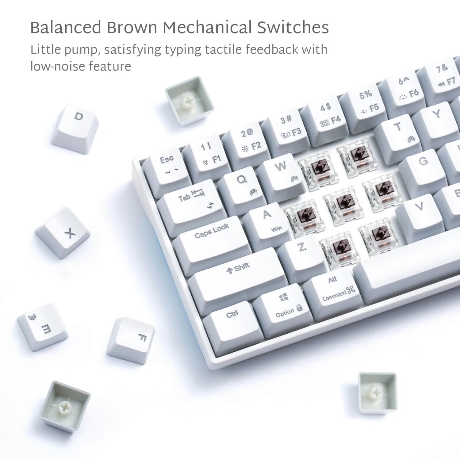Royal Kludge RK71 - Stickeys